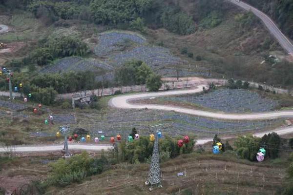 涪陵：葡萄飘香索道乐 农旅融合促振兴