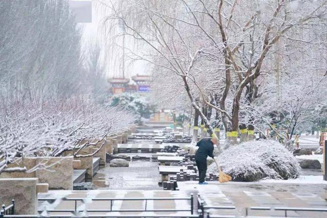 当心，它是隐形的植物杀手，出没于大雪之后