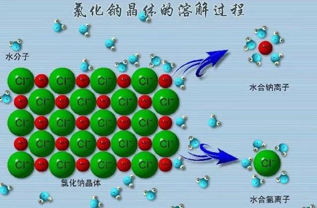 当心，它是隐形的植物杀手，出没于大雪之后