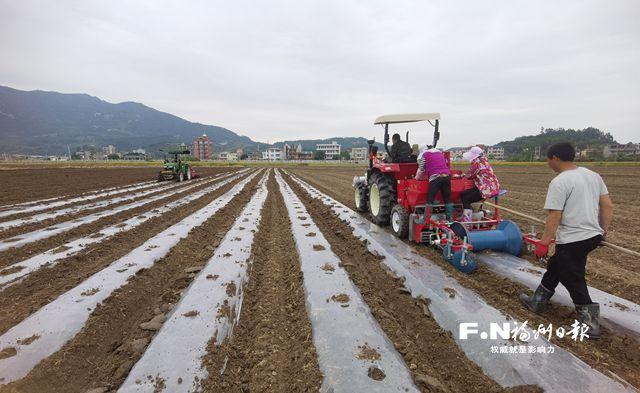 福州：田间地头看春耕