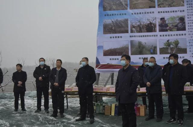 观摩学习找差距 凝聚合力促发展——淅川县乡镇（街道）重点工作观摩活动纪实