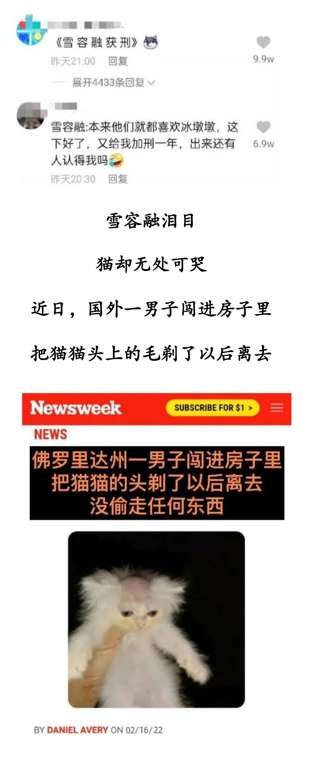 一周冰纷播｜终于知道谷爱凌被关上的是哪扇窗了！哈哈哈哈！