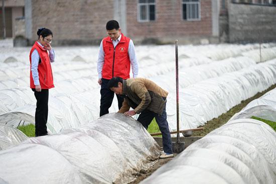 润物无声，博白农信普惠助春耕