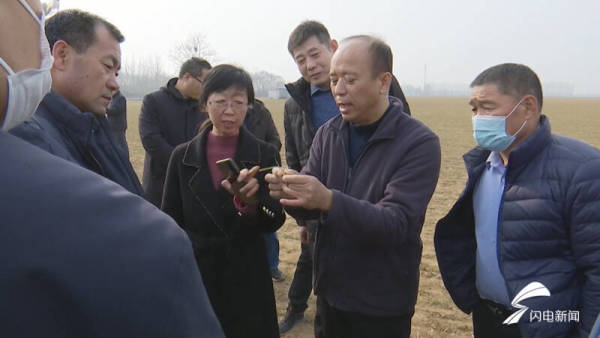 潍坊昌邑实施冬小麦“科技壮苗”专项行动 确保夏粮丰收