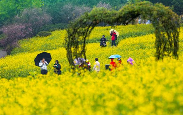 重庆巴南：云林天乡花开迎客来