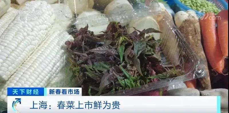 菜中“爱马仕”？上海这种家常小菜，已卖到120元一斤！网友惊呼