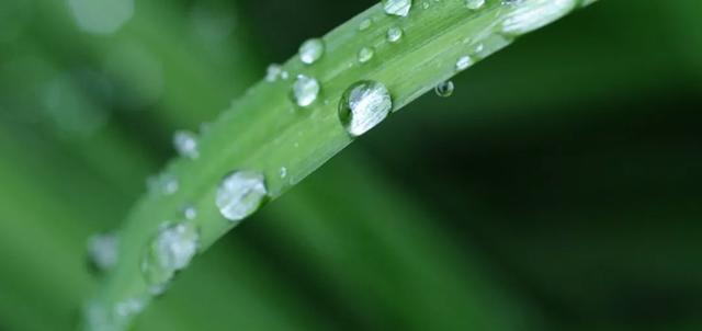 雨水节气如何养生？健脾、祛湿很重要