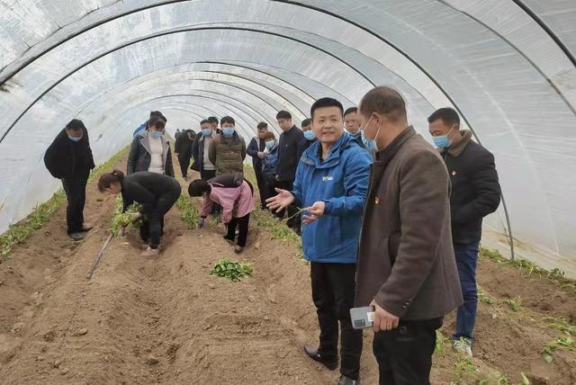 观摩学习求真经，互鉴经验谋发展，河南通许县朱砂镇组织参观学习特色产业种植