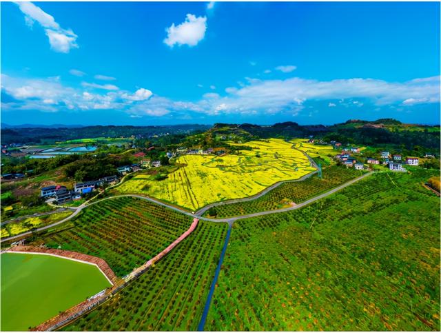 强化“人、地、钱”统筹 破解乡村发展瓶颈——重庆市梁平区国家农村产业融合发展示范园创