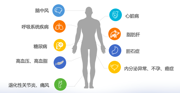 三月不减肥，四月徒伤悲！比悲伤更可怕的是…“文末有福利”