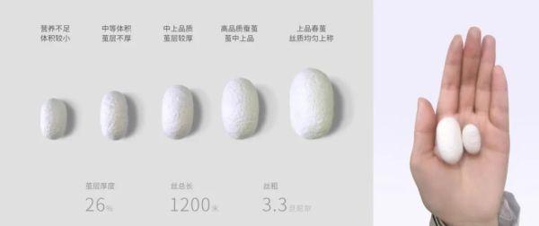 精选丨把春天盖在身上！这款蚕丝被，足足用了4300个春蚕茧