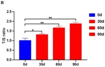 90天年轻20％？中科院公布“衰老逆转分子”临床结果，老化再被扭转