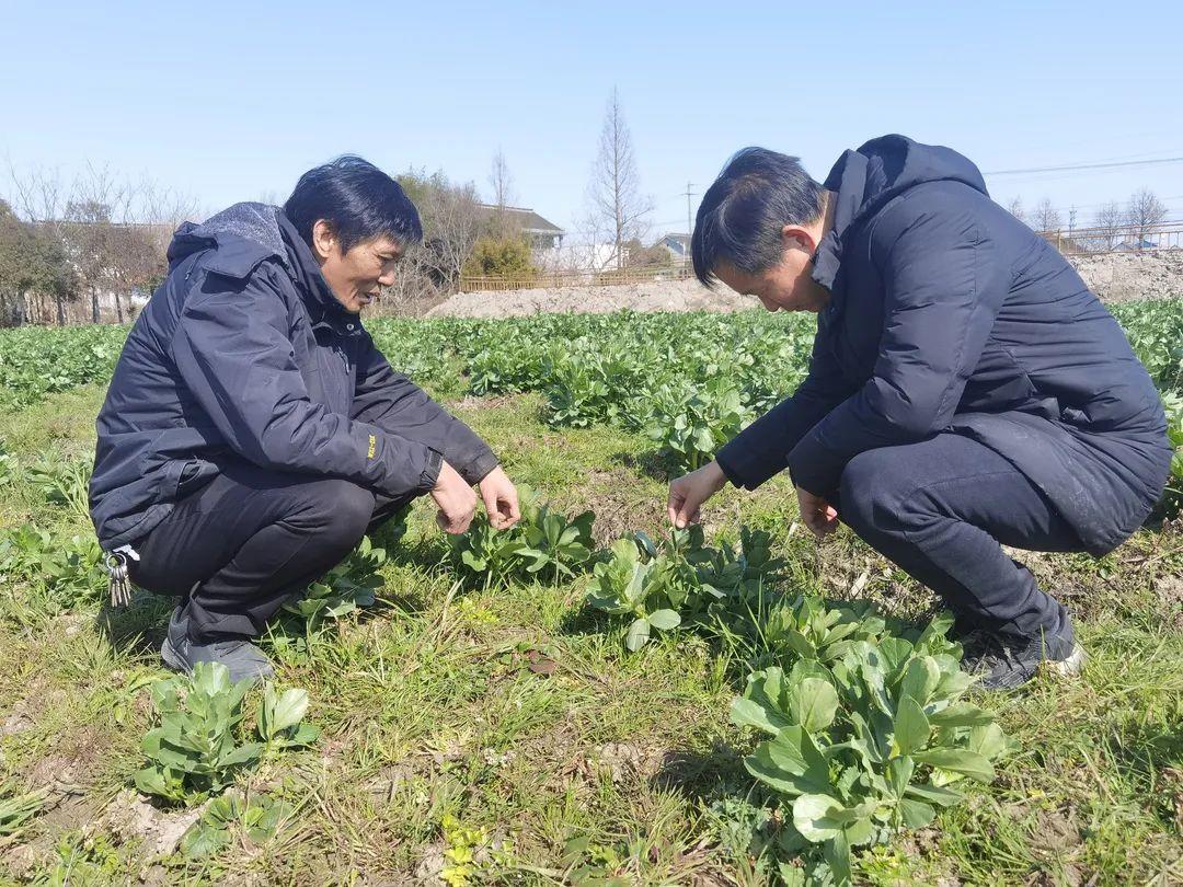 护航春耕备耕！农技人员到田间开“良方”