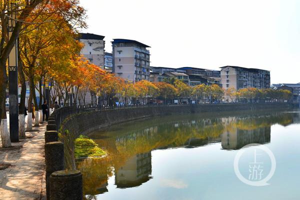 美丽新乡村｜高安镇生态美