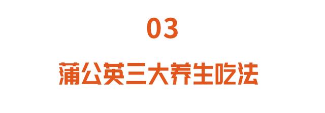 “药草皇后”蒲公英，养肝排毒，根、叶功效各不同，但5类人慎吃