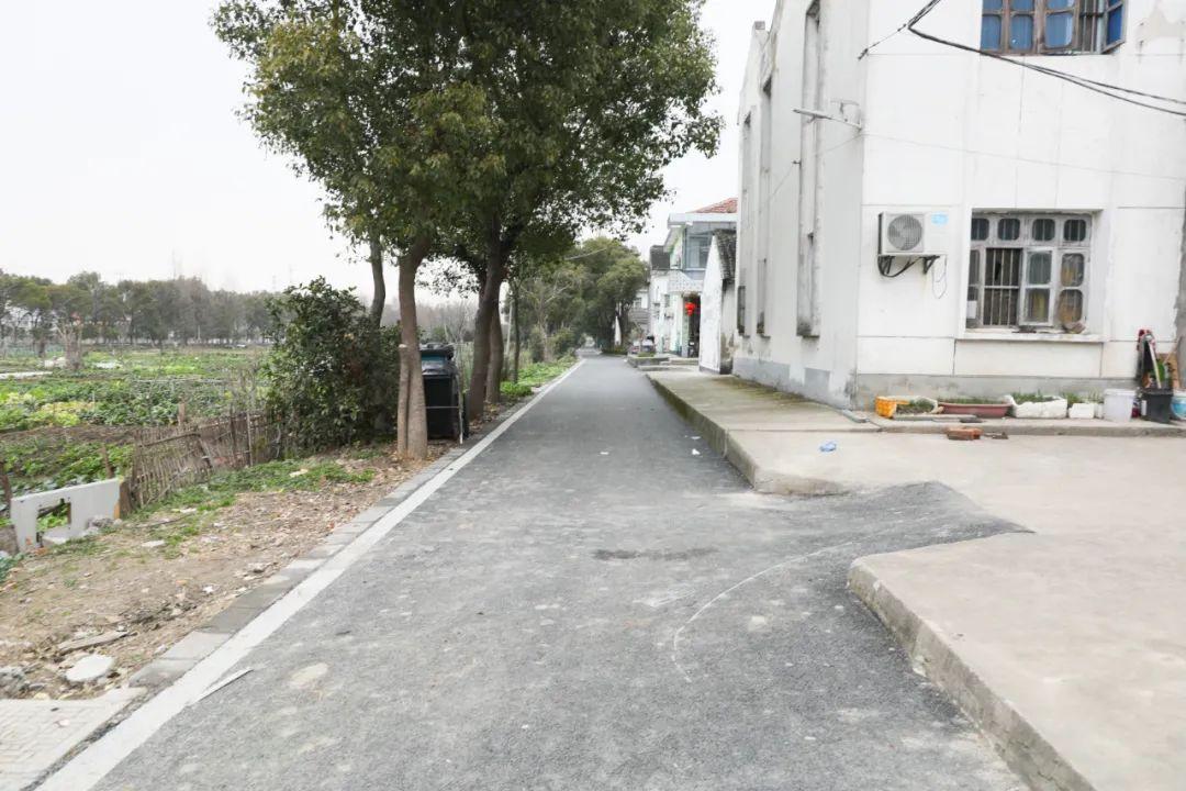 改造荒地、翻修道路、新建公园……松江这个村更美更宜居，是你家乡吗？