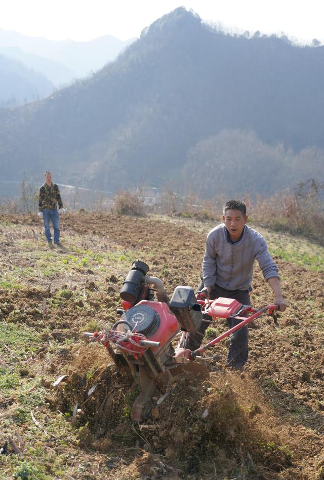 秦巴山区春耕忙