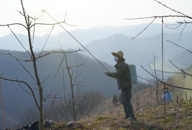 秦巴山区春耕忙