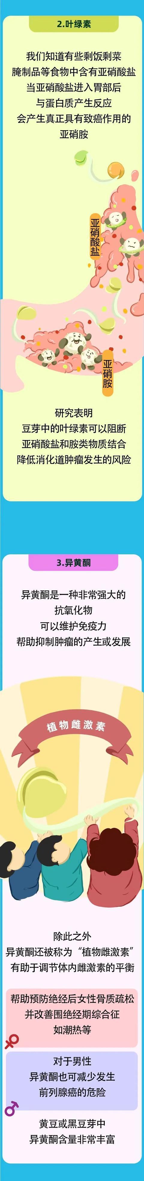 黄豆芽、绿豆芽营养差不止1倍！怕胖更推荐吃