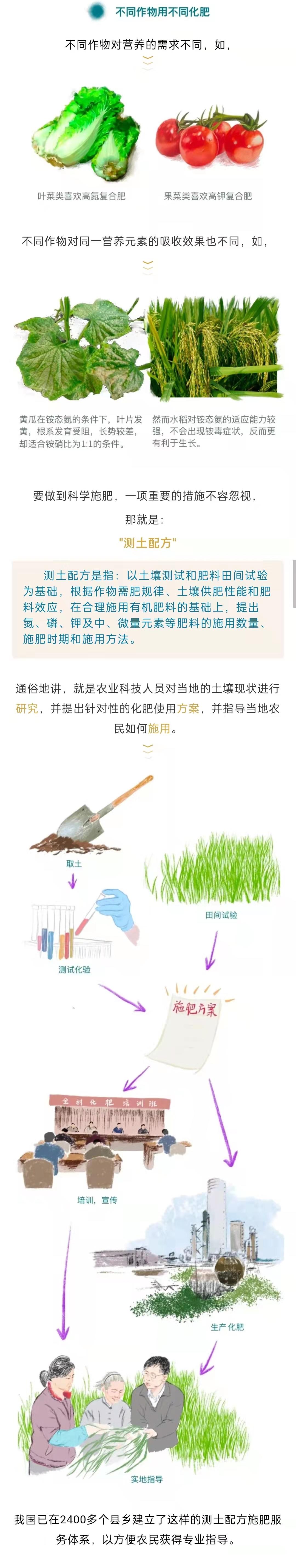 {科普进林区·化肥使用}如何科学地使用化肥