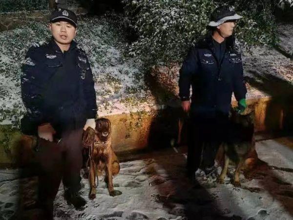 “汪汪队”雪夜如何立大功？看警犬“神奇”和它的伙伴们变身“搜索专家”