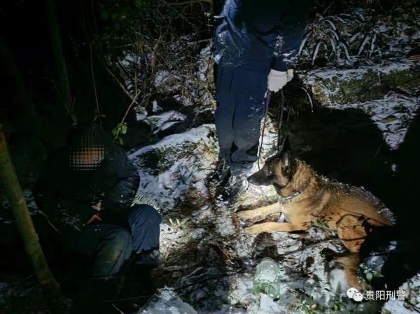 “汪汪队”雪夜如何立大功？看警犬“神奇”和它的伙伴们变身“搜索专家”