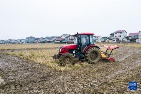 奋进新征程·建功新时代｜乡村振兴——“Z世代”的青春舞台