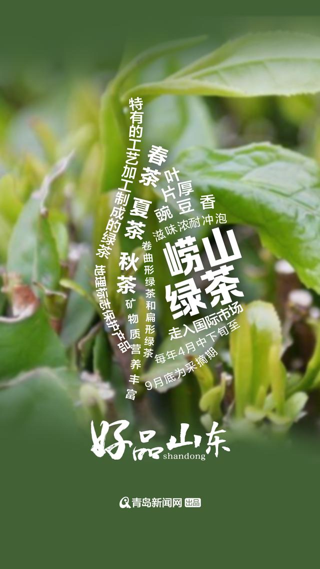 好品山东｜崂山遇上绿茶 红岛遇上蛤蜊……一起get这些青岛味儿