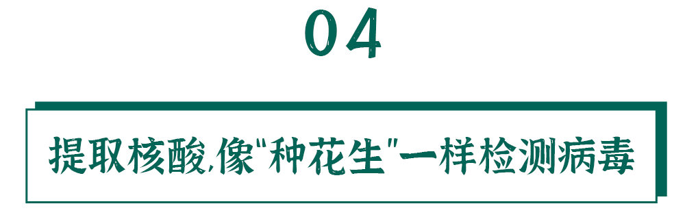 核酸的检测有多麻烦？看完我都不好意思催结果了