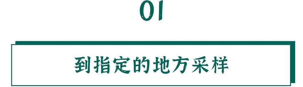 核酸的检测有多麻烦？看完我都不好意思催结果了