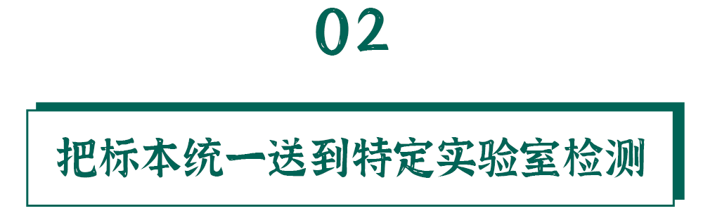 核酸的检测有多麻烦？看完我都不好意思催结果了