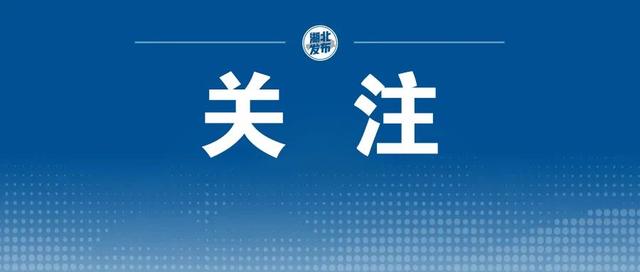 什么是时空伴随者？收到短信后该怎么办？