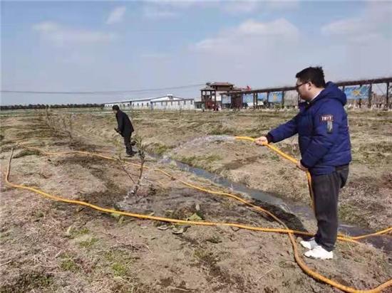 泰州兴化市大垛镇：蓝莓园里栽植忙