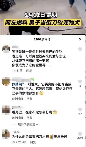 昆明一男子当街砍宠物狗！疑似当事人回应：请用法律制裁我