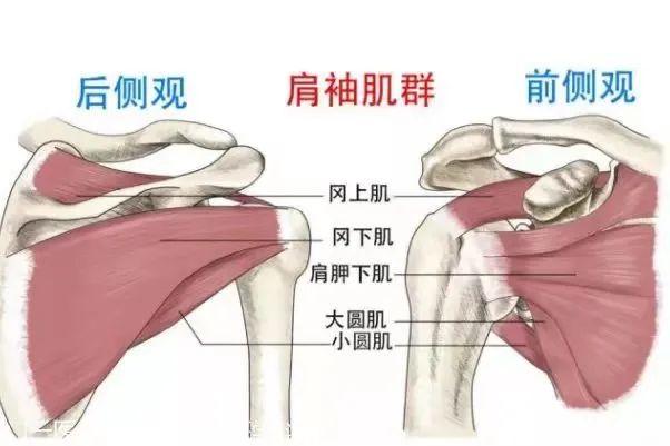 荆门一女子肩膀疼痛多年，一查竟是……