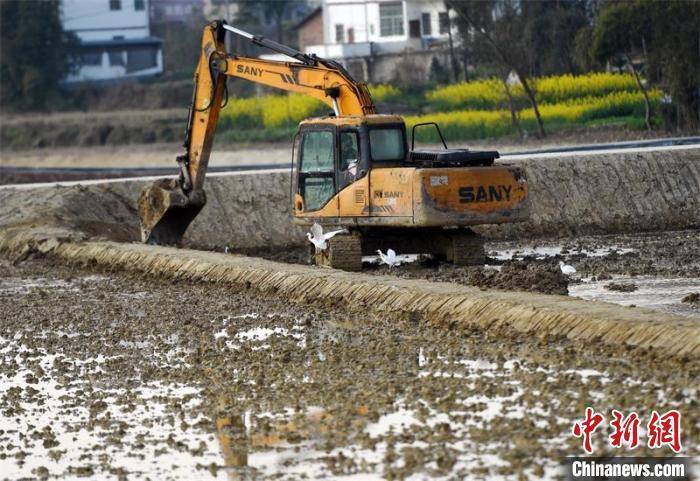 四川蓬安：养好土地种好粮 高标准农田建设美入画