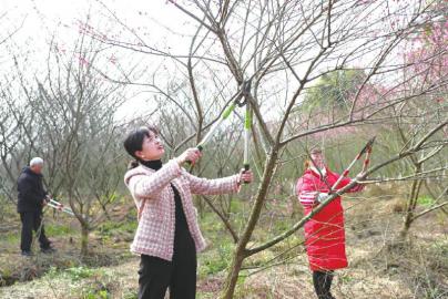 瞧，这群“种出”春天的人