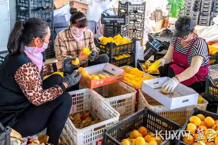 河北阜平史家寨乡：“三点支撑”打造乡村振兴示范区