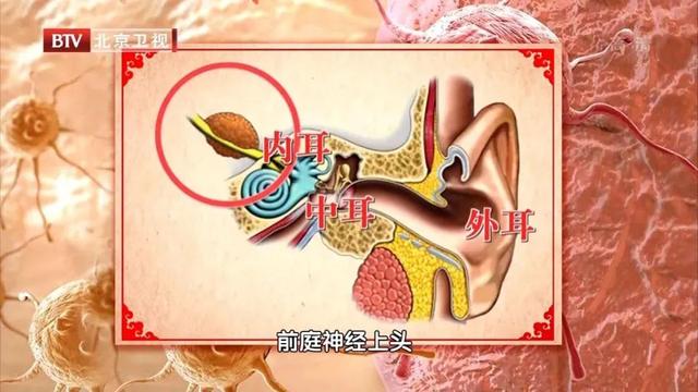 我国耳鸣患者超1亿，持续耳鸣当心藏大病！常按3穴可防病