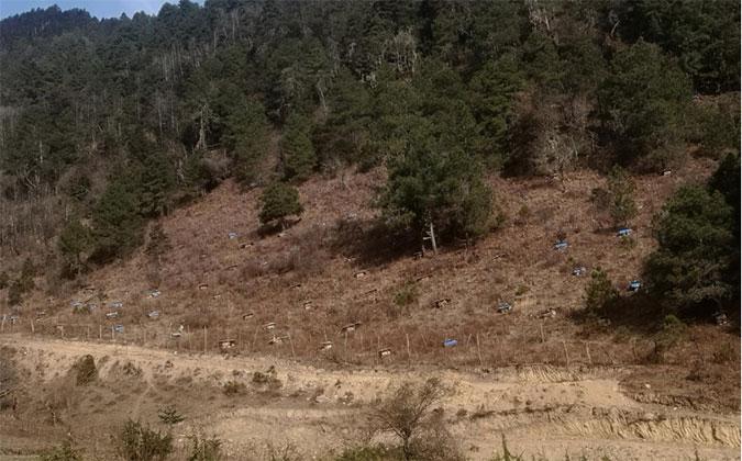 迪庆香格里拉金星村：村民过上“甜蜜”生活