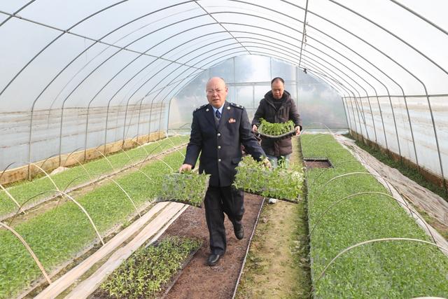 翻挖田土、整土备耕、育苗移栽 广安区抓好大春生产 全力保障粮食安全