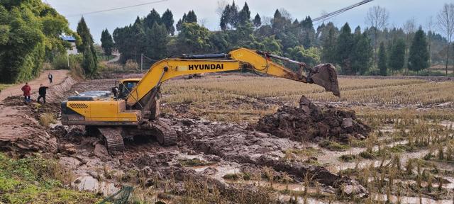 集中连片、设施完善、水利配套......这2000亩高标准农田正在加速推进