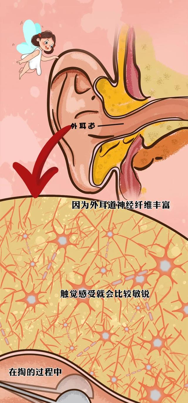 濡傛灉涓€鐩翠笉鎺忚€冲睅锛屼細鍙戠敓浠€涔堬紵