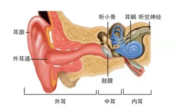 冲上热搜！睡眠不足可能导致突发性耳聋，网友不淡定了