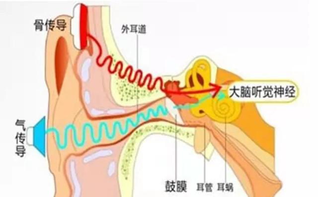 你的听力是否“损伤”？20秒自查→