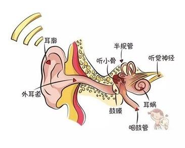 康健园｜警惕“听过耗”对日常交流的伤害