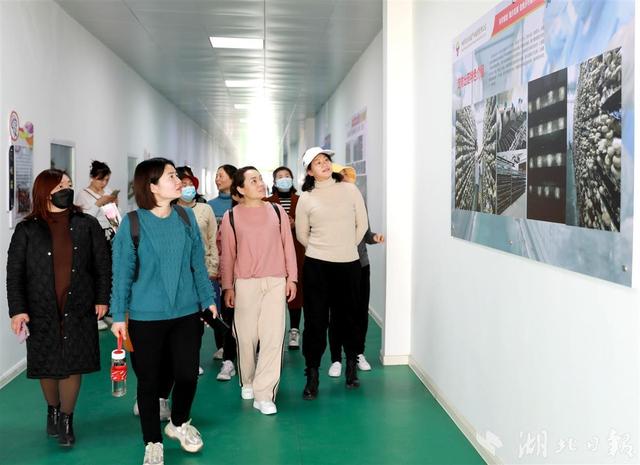 打卡乡村振兴产业基地，感悟奋进力量 这群女职工别样过节