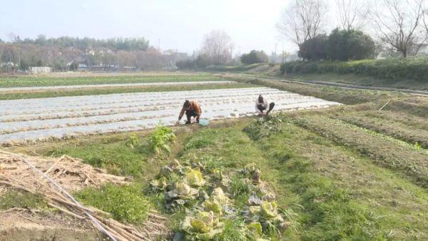 杭州人迎接春天的“仪式感”，看馋了……这个季节，年轻女性要注意