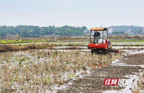 永州东安：“三早”齐抓 保早稻播种面积