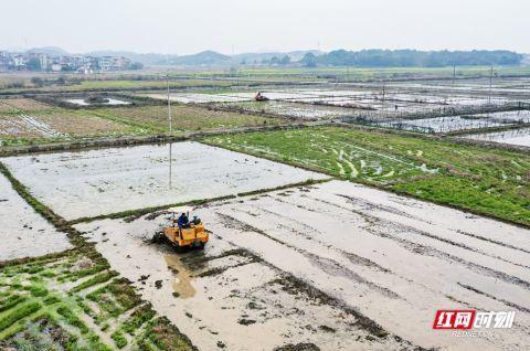 永州东安：“三早”齐抓 保早稻播种面积